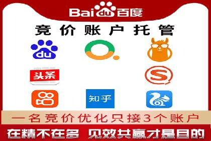 百度SEM广告投放效果评估的案例分析
